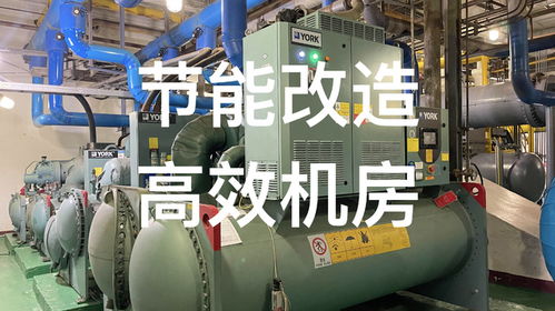 杜克能源節(jié)能服務石油化工醫(yī)藥食品工業(yè)冷凍空調和壓縮