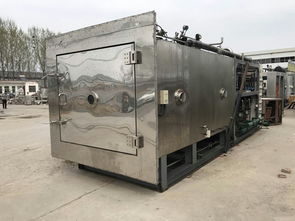 食品真空冷凍干燥機(jī)報價 廠家