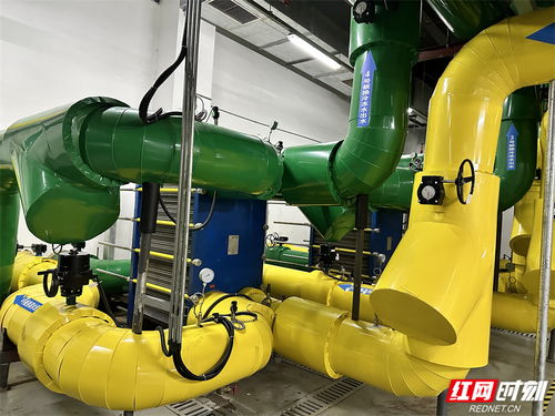 郴州 壯大培育 綠色 動能 低碳生活逐 綠 而行